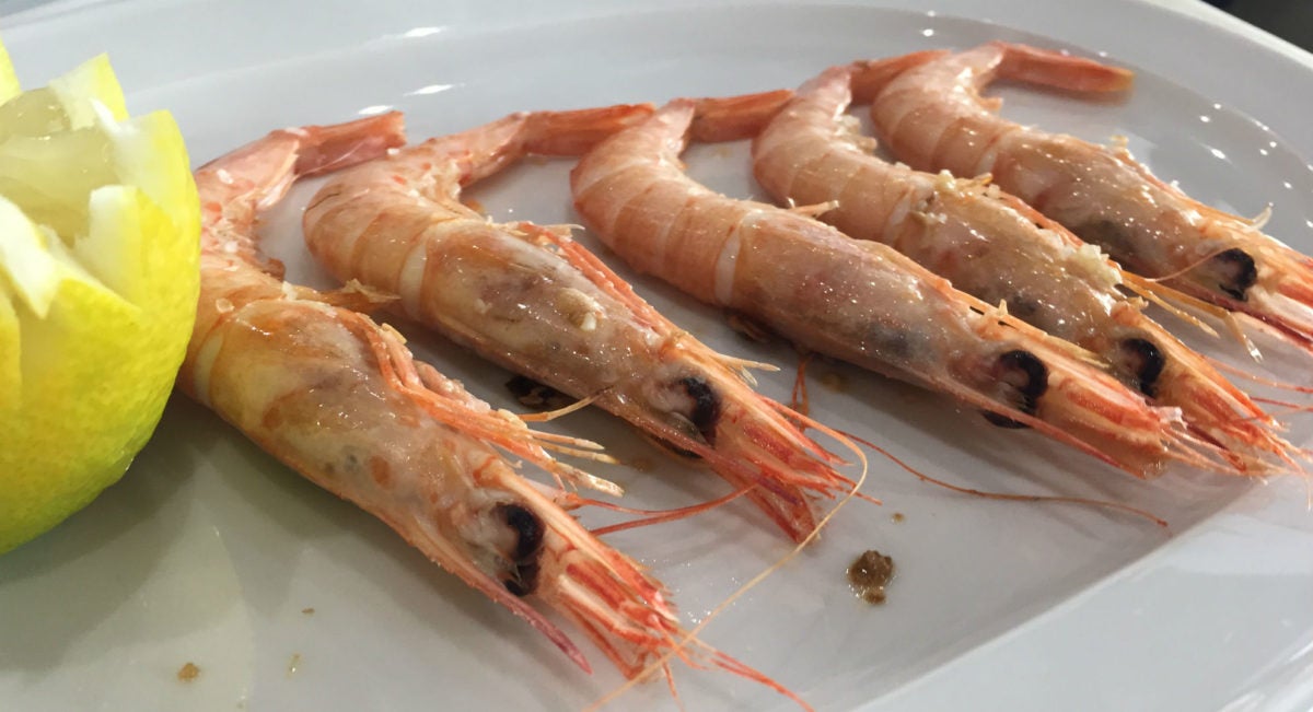 Gambas blancas de Huelva El Paraiso de Gonzalo Huelva