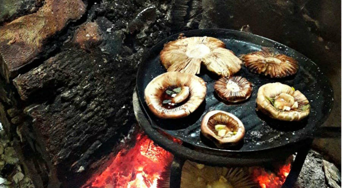 gurumelos brasa