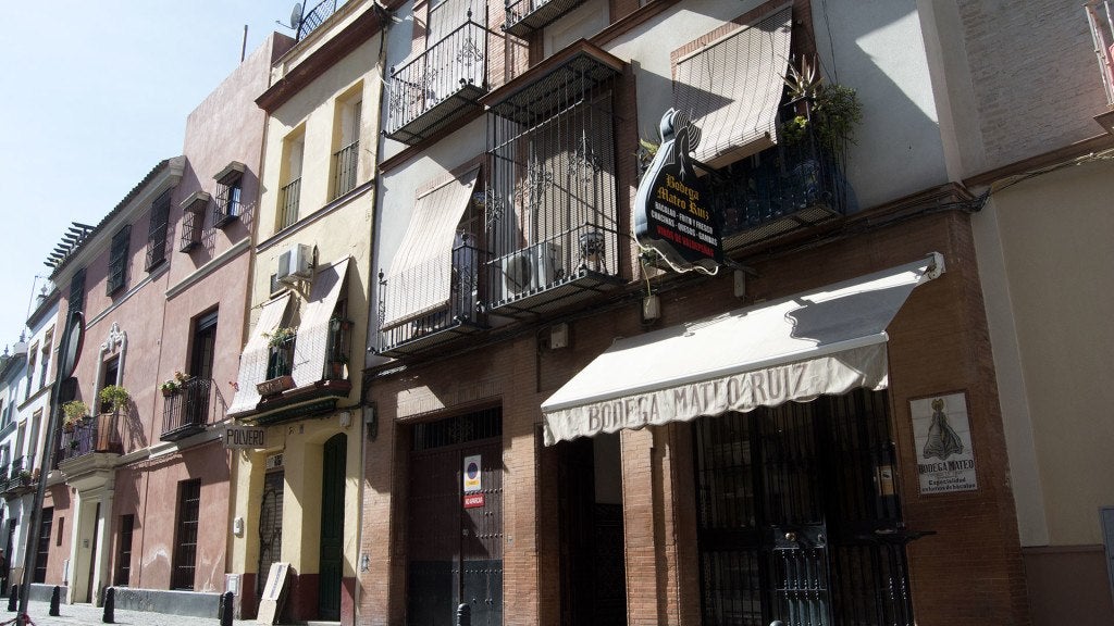 bodega-mateo-sevilla-3. 