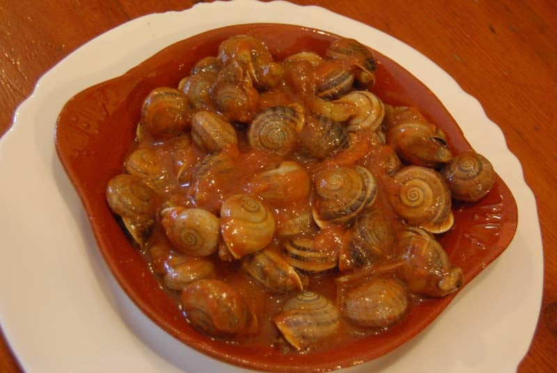 Manzanilla en Sevilla 617. Manzanilla en Sevilla