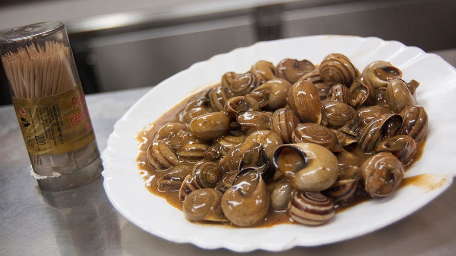 Cabrillas de Casa Ruperto 