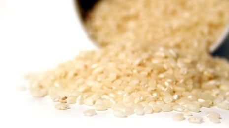 14 recetas con brócoli fáciles, ricas y nutritivas | Gurmé