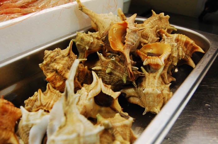 Un sitio para hacer la ola 1015. Un sitio para hacer la ola