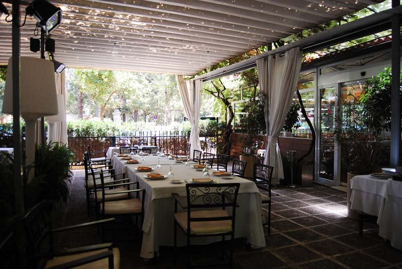 A la sombra del Parque de María Luisa 1104. A la sombra del Parque de María Luisa