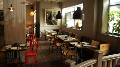 Ambiente cosmopolita