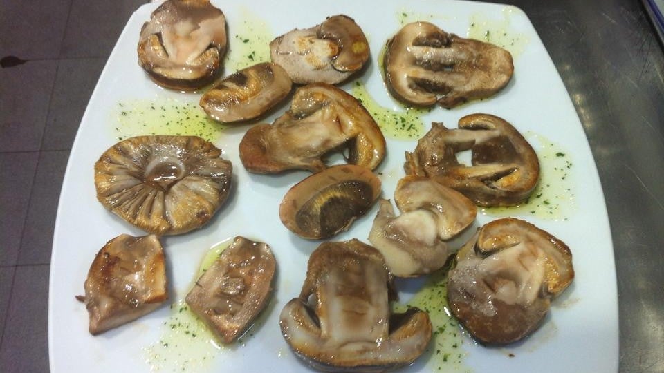 martin-blanco-sevilla-setas