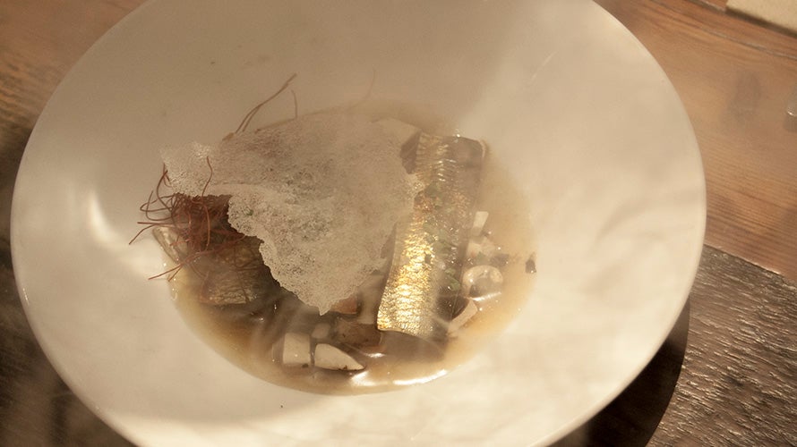 perro-viejo-tapas (9). 