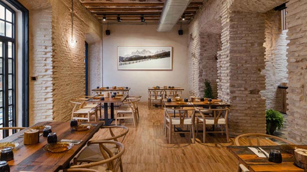 perro-viejo-top-tapas