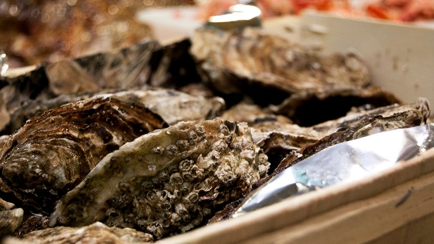 sancho-panza-tapas (9). 