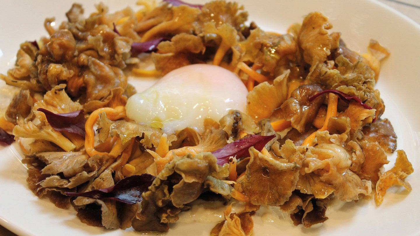 salgorda-bar-sevilla (2)