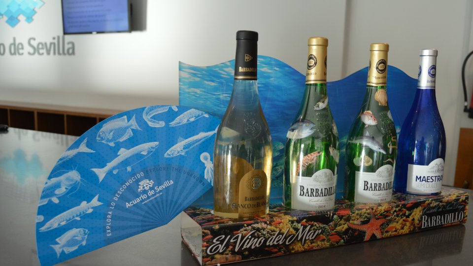 muestra de vinos Barbadillo