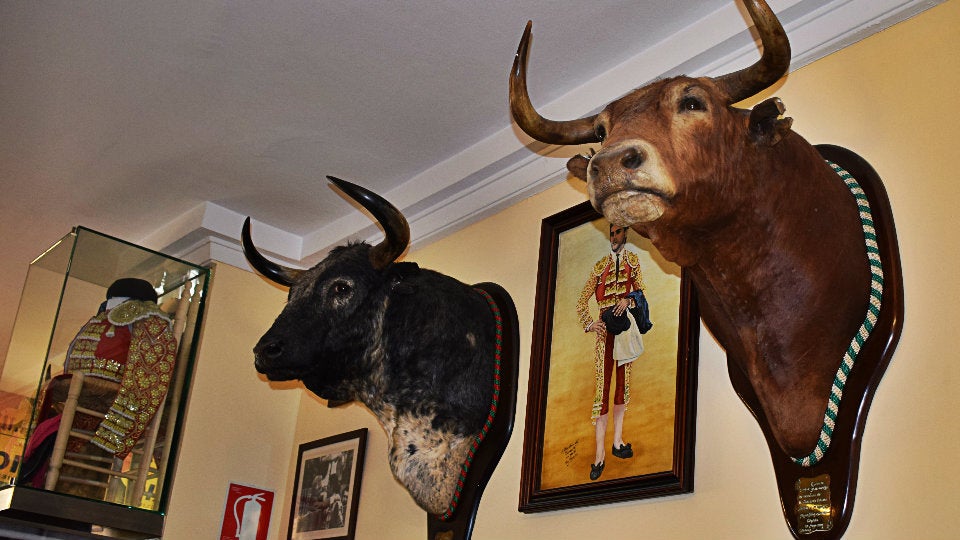 cabezas de toro de Mesón el Serranito
