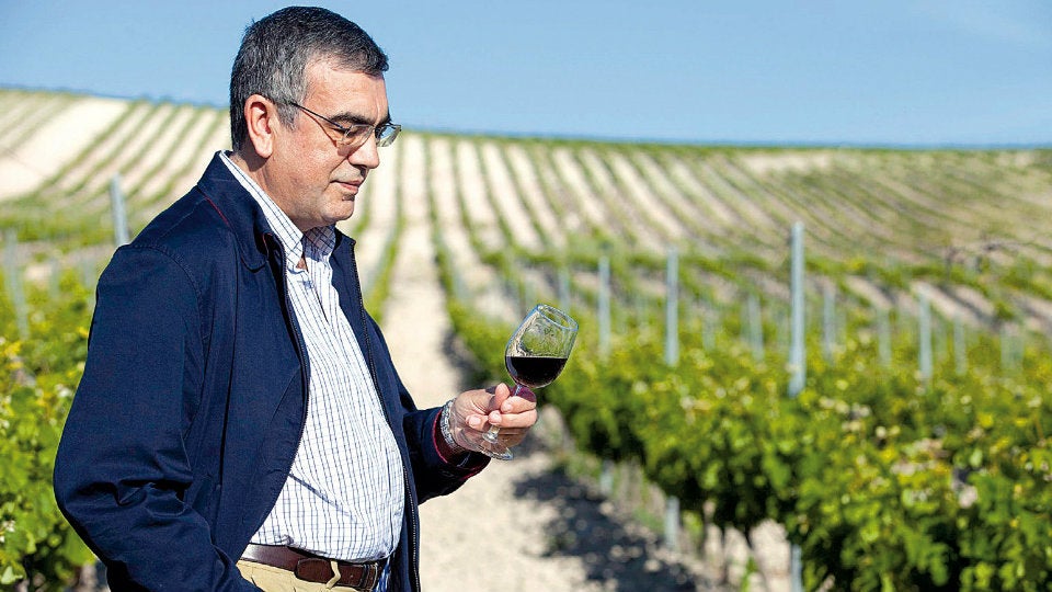 José Manuel Pinedo, enólogo de la Finca Moncloa