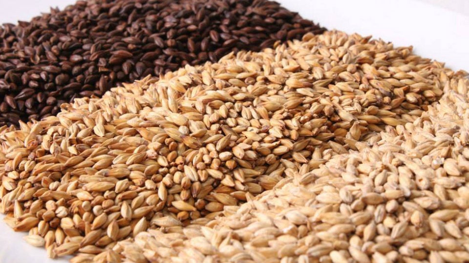 cerveza-ingredientes