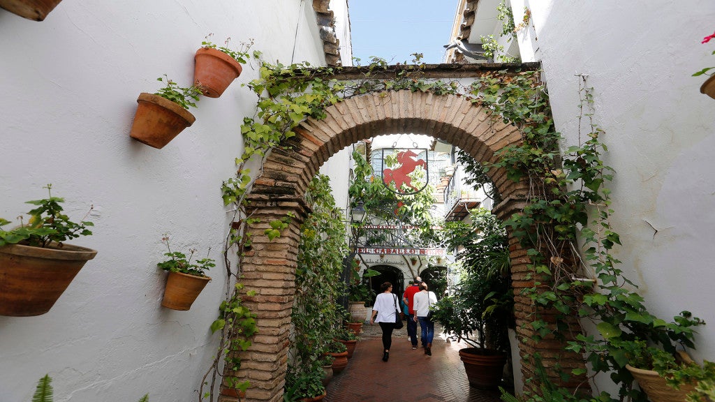 CABALLOROJO1COR.jpg. 