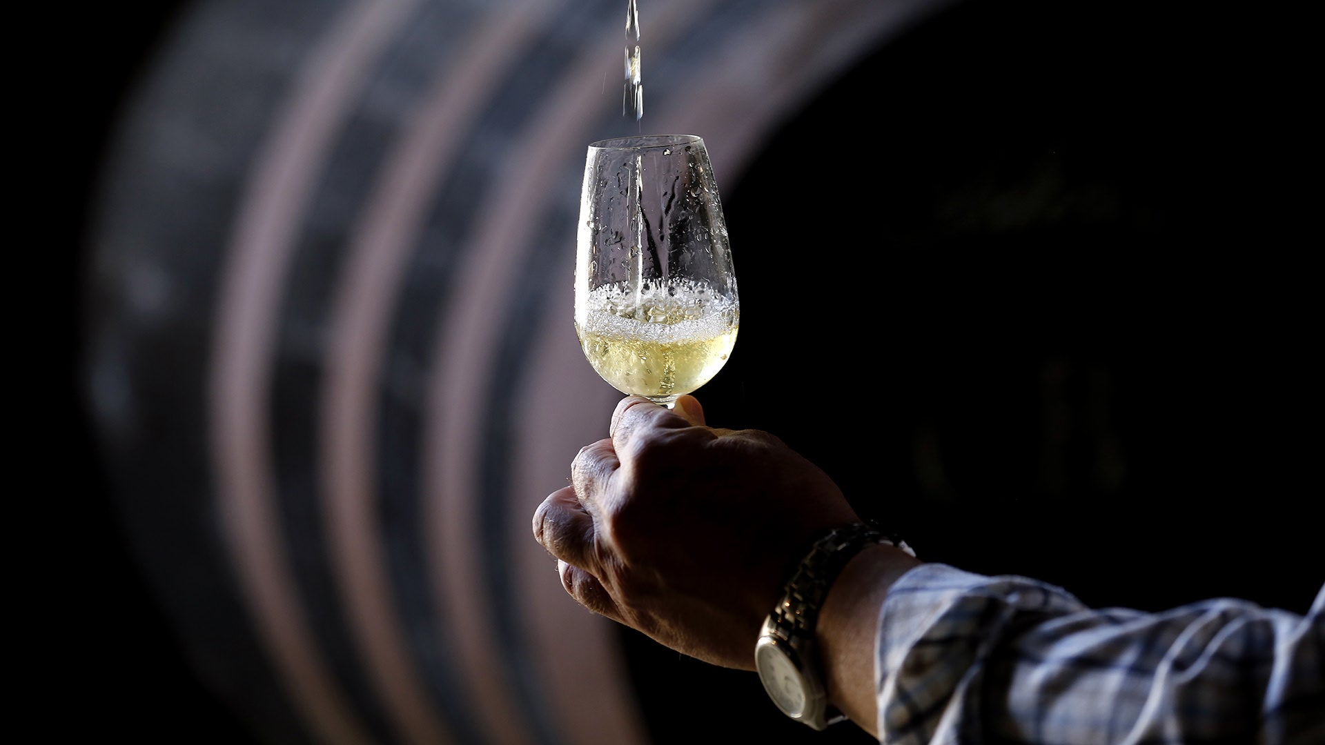 Blanco Joven Ecológico Piedra Luenga: El sabor del respeto y la innovación