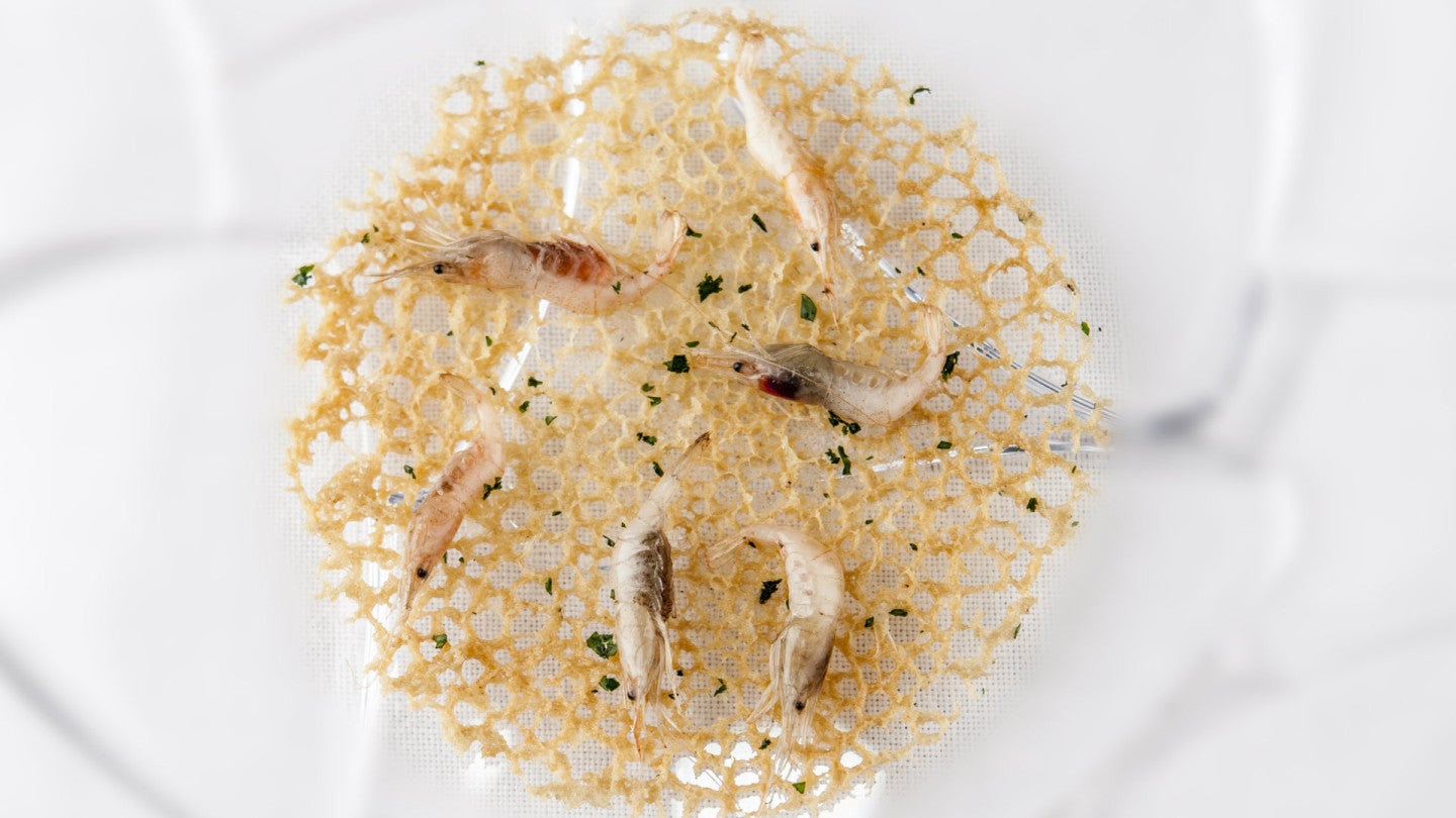 aponiente angel león