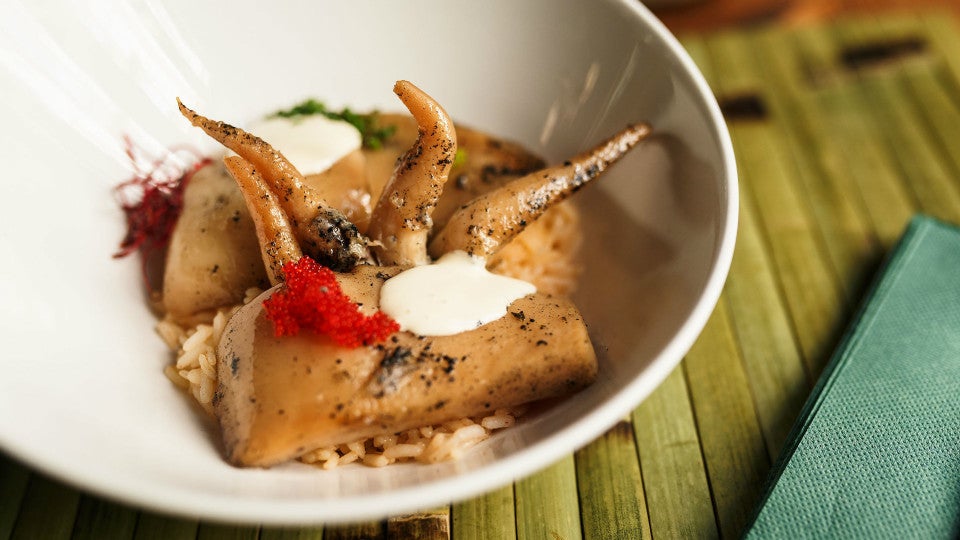 clorofila-sevilla-plato