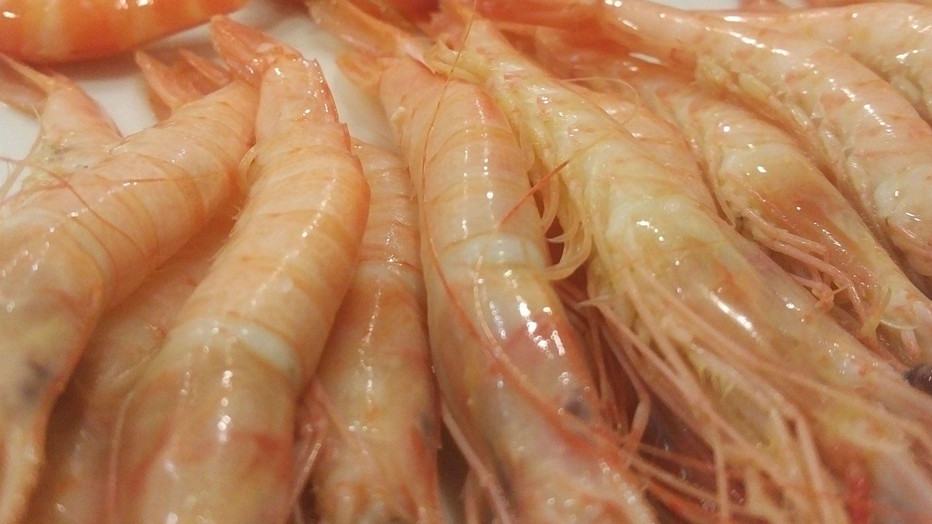 la-mar-de-fresquita4r