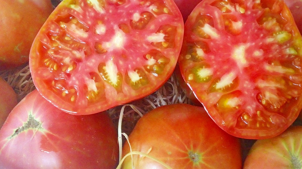 Receta de gazpacho andaluz