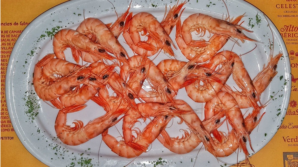 Gamba blanca de Isla Cristina| Foto: Fran Moreno