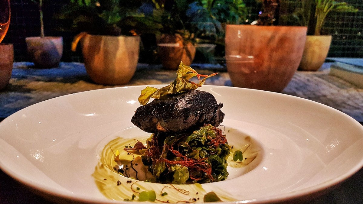 Corvina en costra negra con ensalada marina|Foto: Fran Moreno