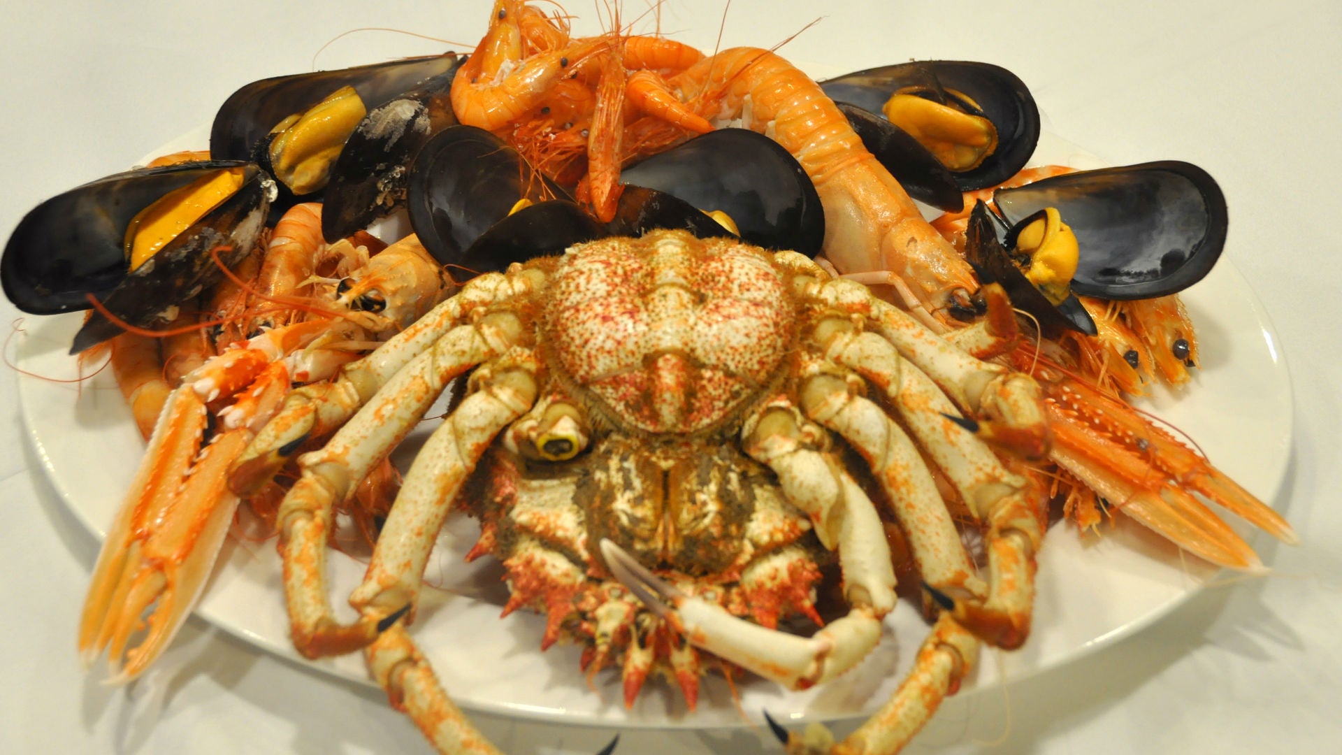 La cita de Córdoba con la gran fiesta del marisco gallego en cifras