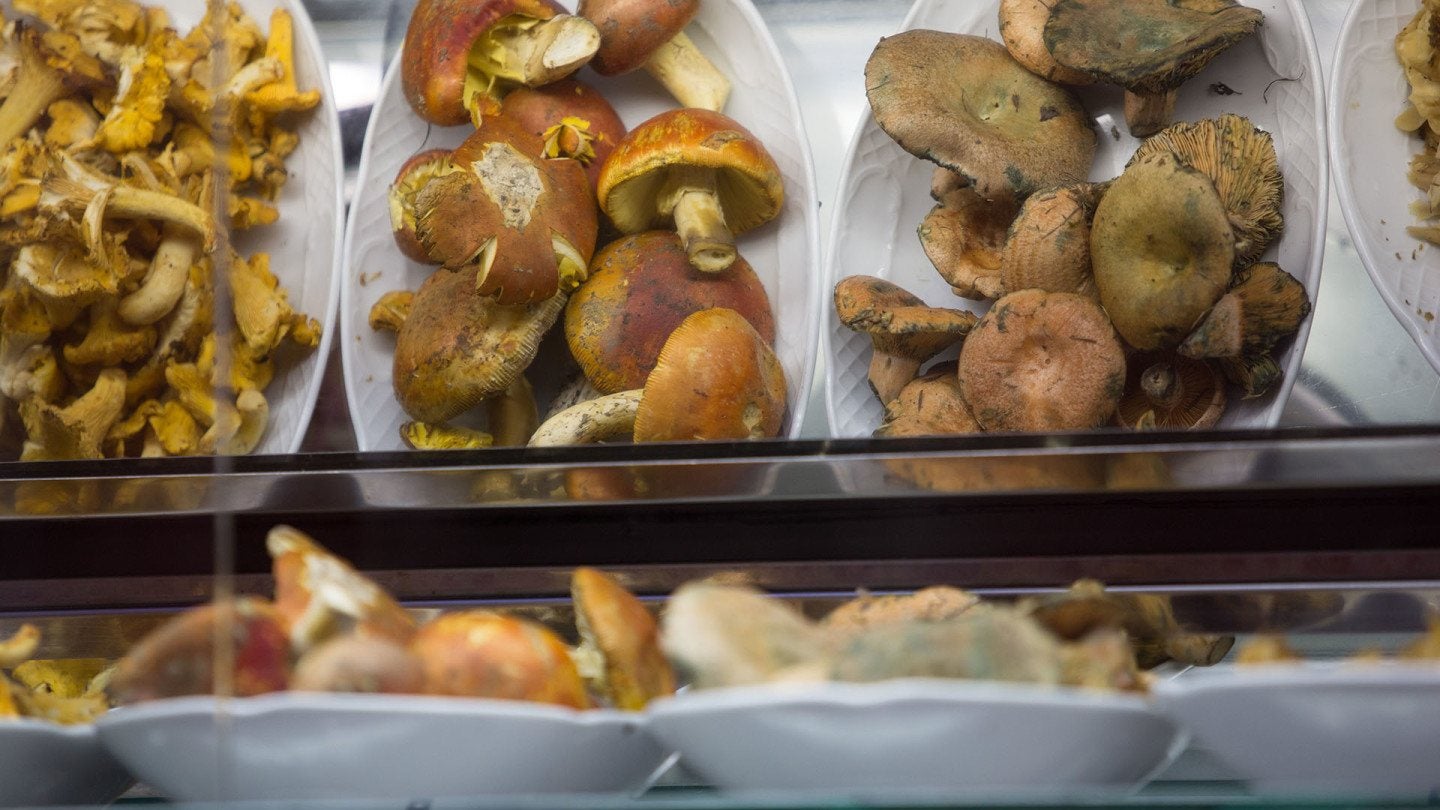 SEVILLA. 4.10.17. Entrevistas sagas familiares al bar Martin Blanco. Con Lucia Blanco, Charo Martin, Carmen Blanco, Pepe Blanco y Majid Raza. FOTO: VANESSA GOMEZ. archsev