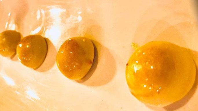 Bombones de queso cabrales con chocolate y manzana del Gallinero de Sandra