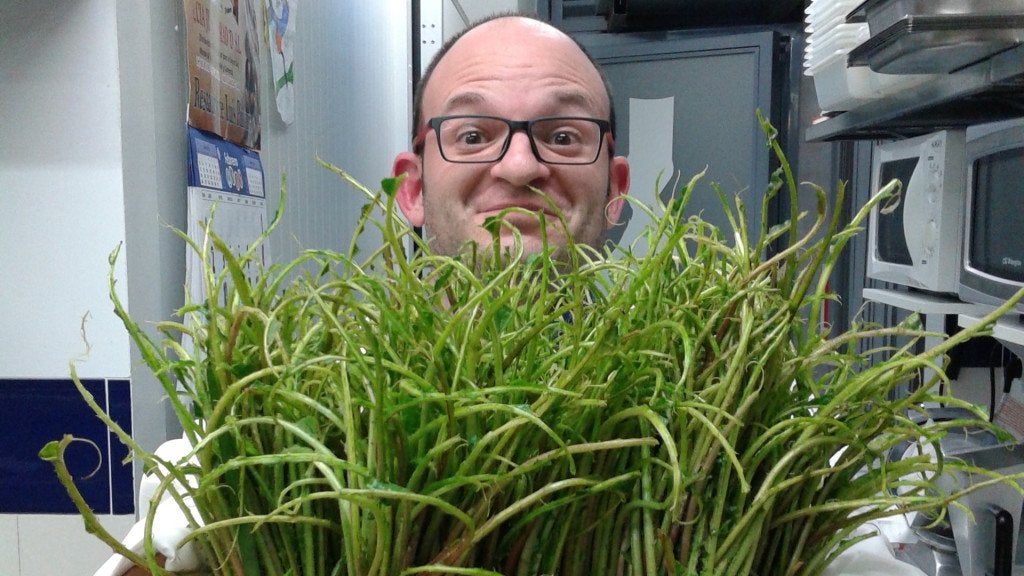 Restaurante El Pulpejo