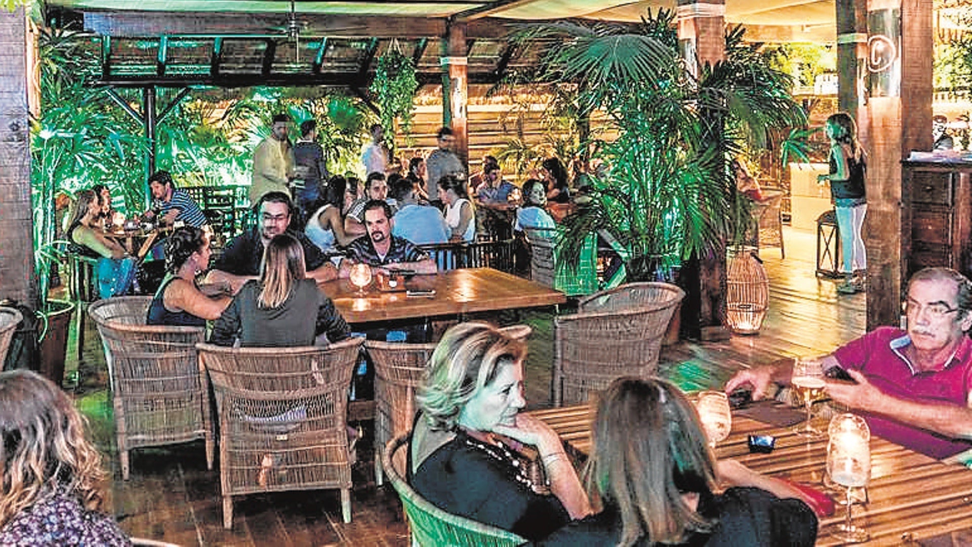 Caobana: una propuesta actual