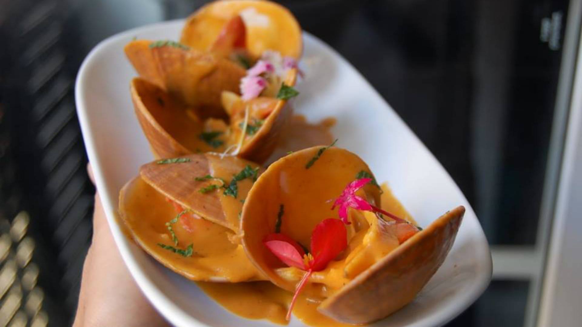 berberechos-sal-gorda-r