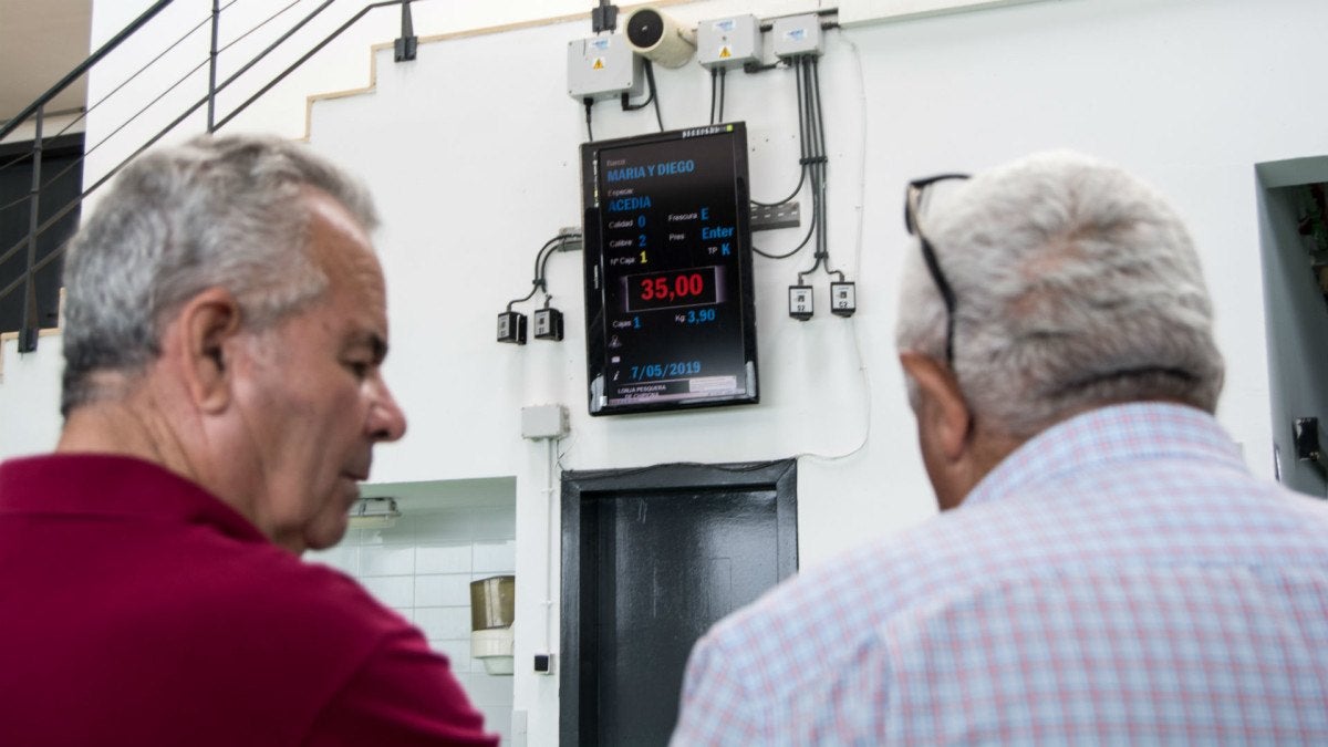 lonja-eduardo-guardiola-17