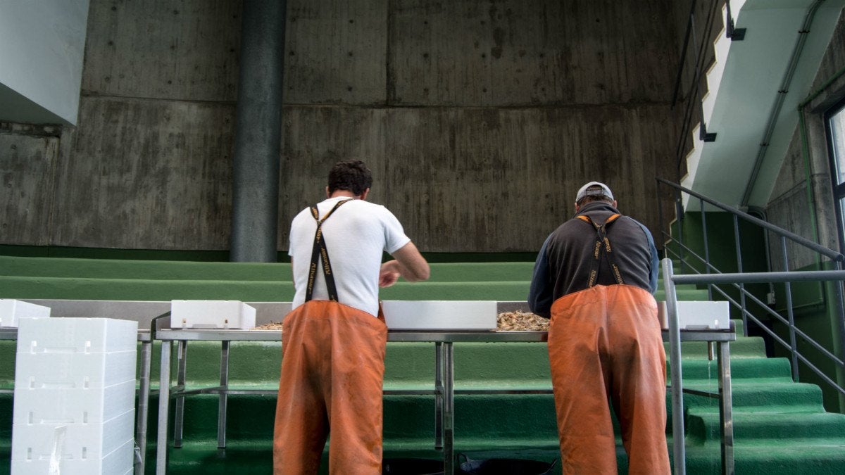 lonja-eduardo-guardiola-19