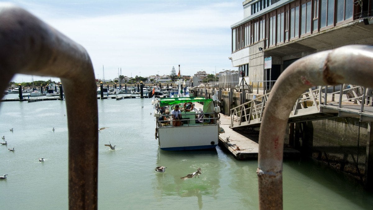 lonja-eduardo-guardiola-22