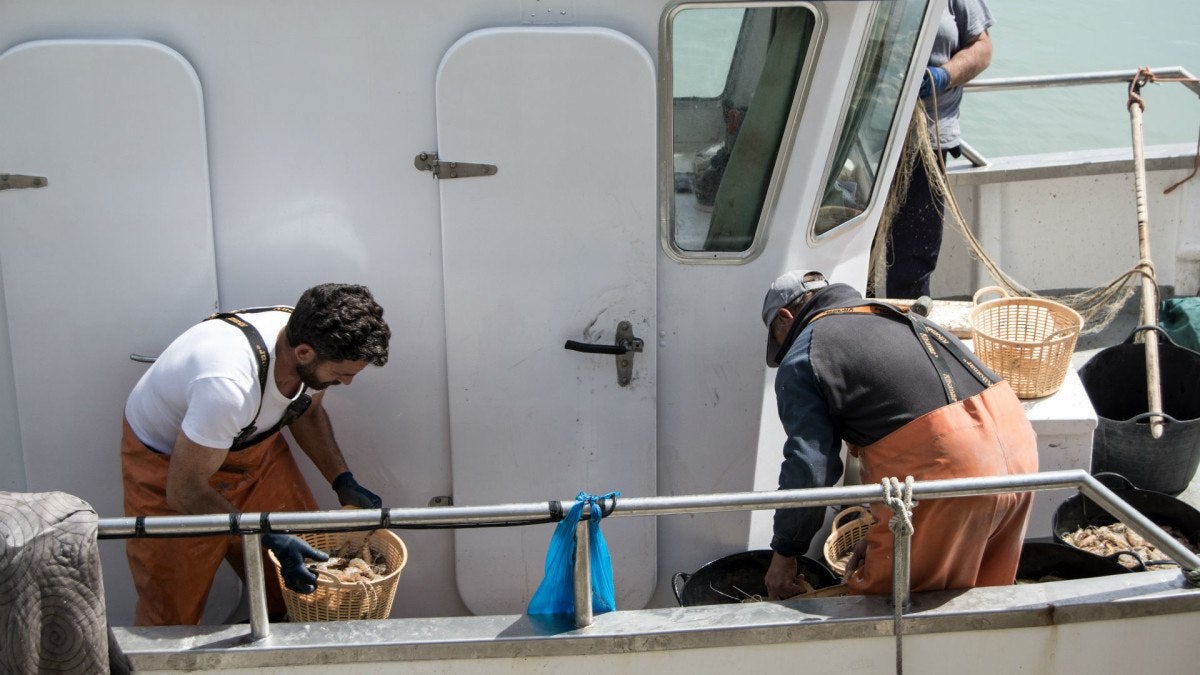 lonja-eduardo-guardiola-23