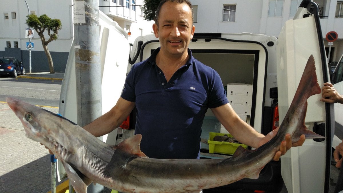 lonja-eduardo-guardiola-27