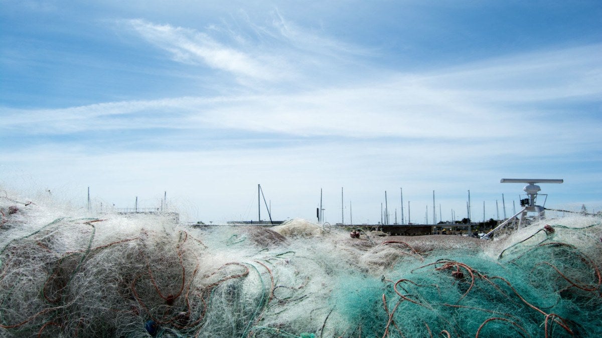 Fotos y vídeo: Rafa Sánchez