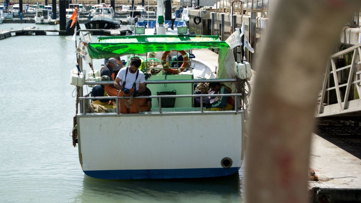 lonja-eduardo-guardiola-30