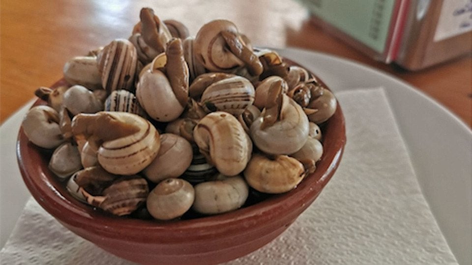 casa-molina-caracoles-sevilla