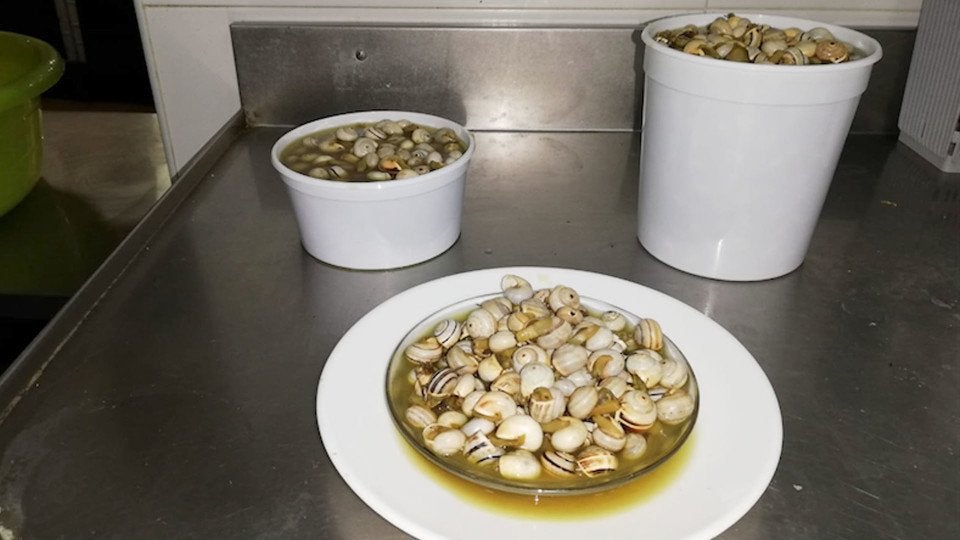 bar-umbrete-caracoles-sevilla