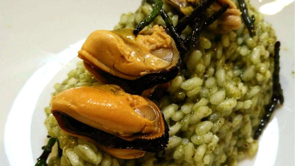 conservas-comete-el-mar-2