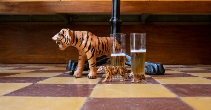 casa-del-tigre-5