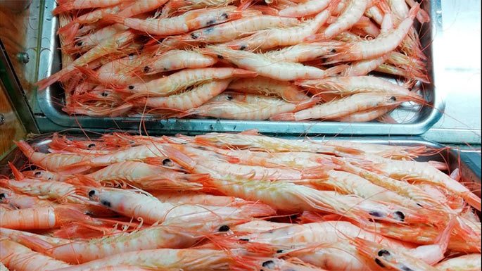 Bodega Fali II en Constantina. Bodega Fali II en Constantina