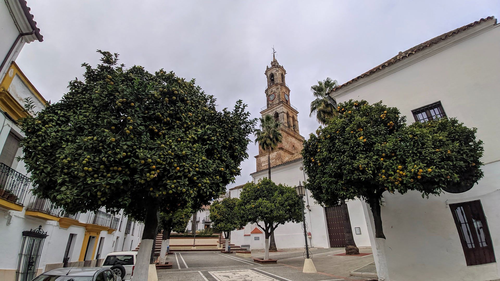 Carnes ibéricas, setas y castañas ponen el sabor de la escapada otoñal por Constantina