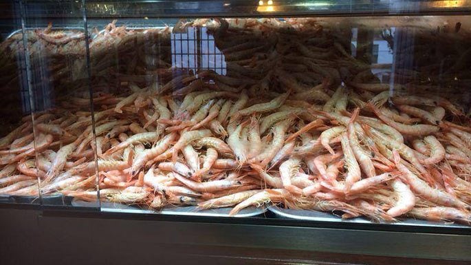 Marisquería El León en Constantina