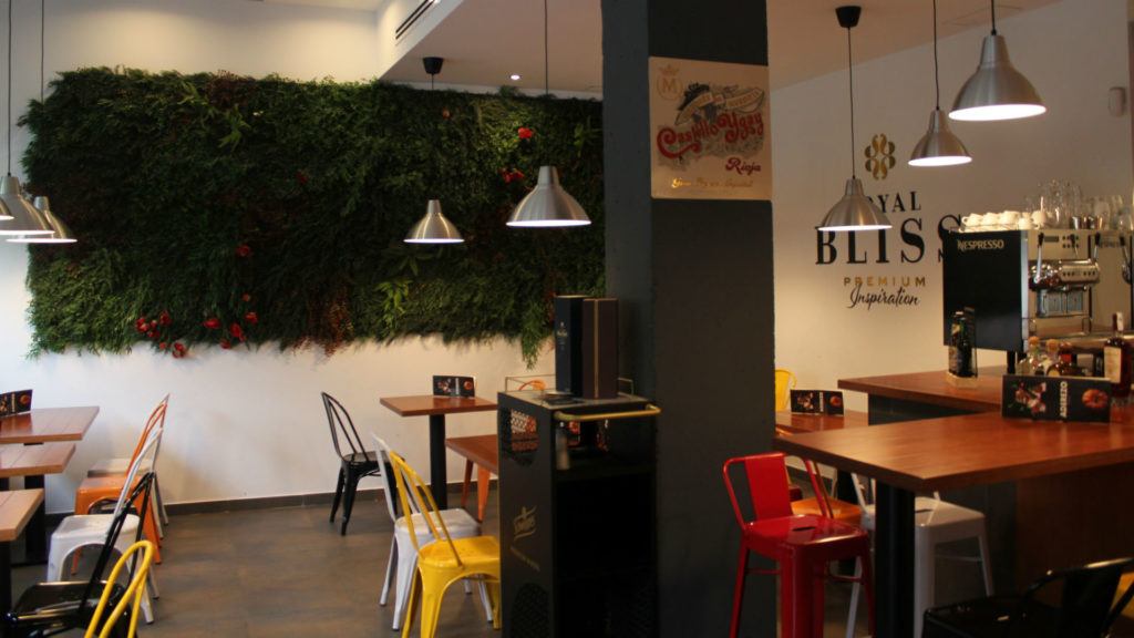 general-aderezo-tapas. 