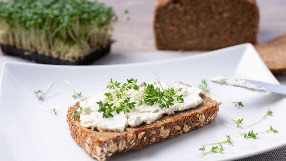 Queso kéfir para untar