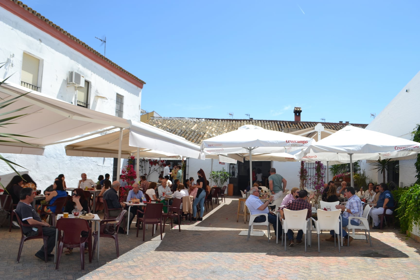 Terrazas del Aljarafe sevillano para saborear las noches de verano