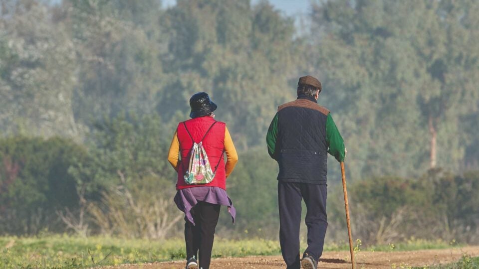 Corredor Verde del Guadiamar: dónde comer cerca de este enclave natural